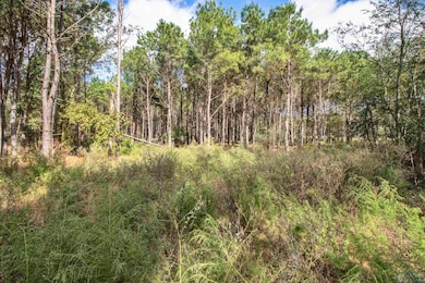 TBD Wolf Rd, Pittsburg, TX 75686 - photo 6