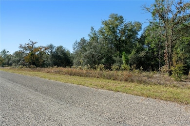 6320 N Matheson Dr, Pine Ridge, FL 34434 - photo 5