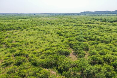 262.71 Acres unit FM 1191, Jermyn, TX 76459 - photo 4