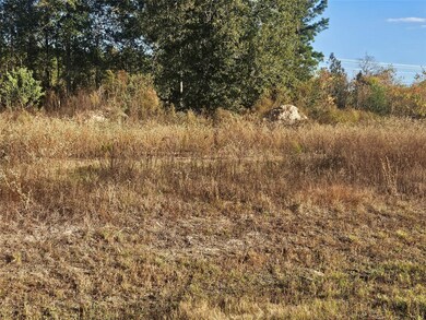 8030 Road 5891, Cleveland, TX 77327 - photo 6