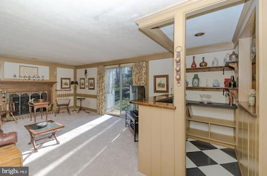 9503 Lady Bug Row, Columbia, MD 21046 - photo 3