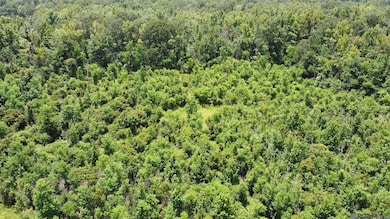 8382 Main St, Zachary, LA 70791 - photo 2