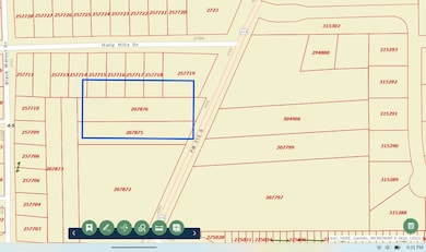 0000 Farm To Market 315, Larue, TX 75770 - photo 3