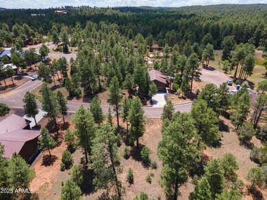 240 Summerberry Dr unit 24, Show Low, AZ 85901 - photo 4