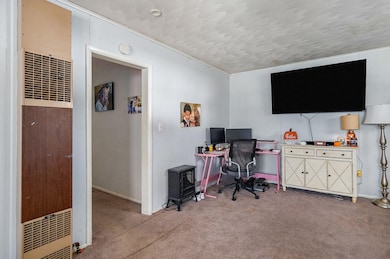 307 N West Ave, Springfield, MO 65802 - photo 7