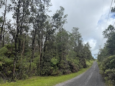 0 Apuakehau Rd unit 725837, Volcano, HI 96785 - photo 3