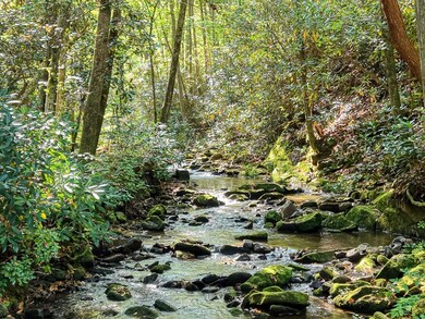 4836 Swallows Creek Rd, Hiawassee, GA 30546 - photo 3