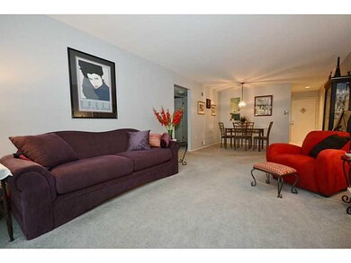 Living Room. Very inviting