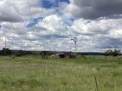 0 County Rd A052 Tract A unit 1094771, Estancia, NM 87016 - photo 4