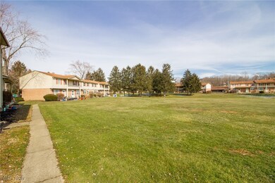 335 Carriage Ln, Canfield, OH 44406 - photo 7