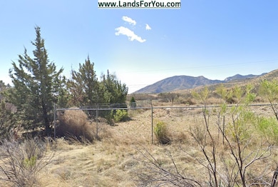 8065 S Vato Ln, Hereford, AZ 85615 - photo 2