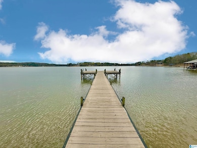 360 Frankies Rd, Vincent, AL 35178 - photo 4