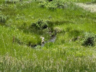 7700 Junkins Park, Westcliffe, CO 81252 - photo 2