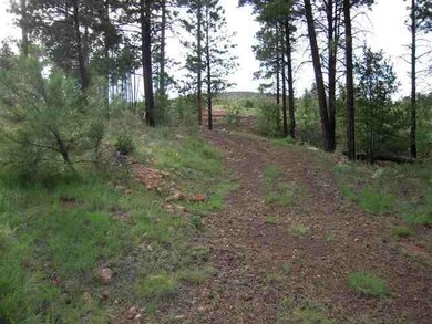 6214 Juniper Ridge, Show Low, AZ 85901 - photo 2