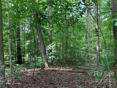 437 Westchester Rd, Statesville, NC 28625 - photo 4