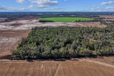 0 SE Camelot Way unit 393706, Lee, FL 32059 - photo 7