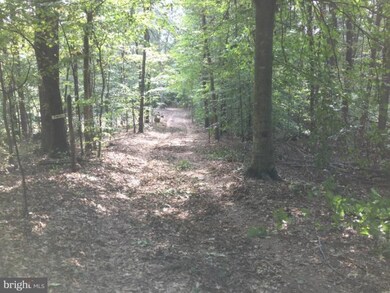 0 Doke Ln unit 1004155414, Fredericksburg, VA 22405 - photo 4