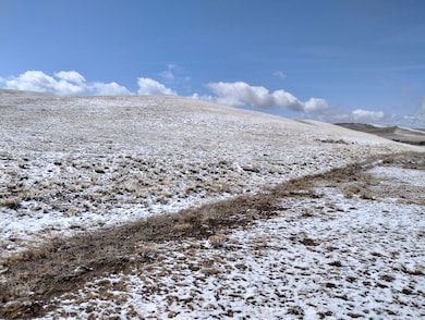 916 Chicha Rd, Hartsel, CO 80449 - photo 7