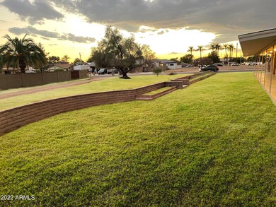 1 BACK YARD