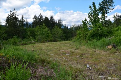 13556 Center Rd, Quilcene, WA 98376 - photo 6