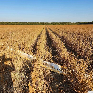 2000 Stubbs Ritchie Rd, Monroe, LA 71203 - photo 4