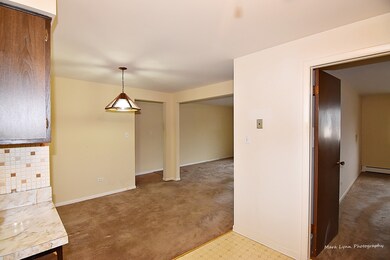 1220 S Lorraine Rd unit 3F, Wheaton, IL 60189 - photo 2