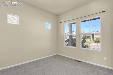 8321 Firecracker Trail, Fountain, CO 80817 - photo 4