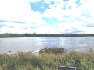 12916 Pickeral Ave, Bitely, MI 49309 - photo 4