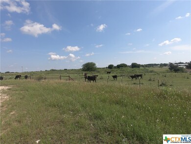 11454 Moffat Rd, Temple, TX 76502 - photo 4