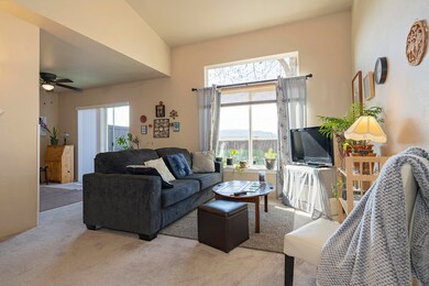 Live Oak_003 copy