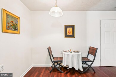 6300 Bayberry Ct unit 1103, Elkridge, MD 21075 - photo 5