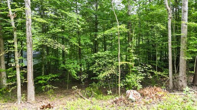 473 N Lake Dr, Burnside, KY 42519 - photo 4