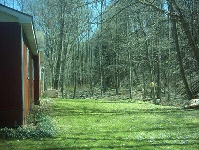 Yard/Garden Back yard along brook