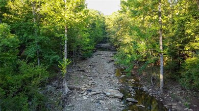 21148 Wild Boar Rd, Winslow, AR 72959 - photo 5