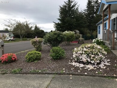 Front Yard