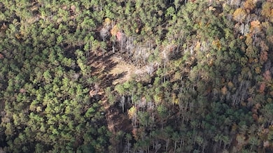 County Road 9, Bruce, MS 38915 - photo 3