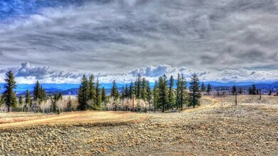 46 Red Bird Ln, Como, CO 80432 - photo 5