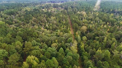 0 Mountain Rd, McCool, MS 39108 - photo 5