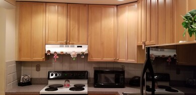 Kitchen2