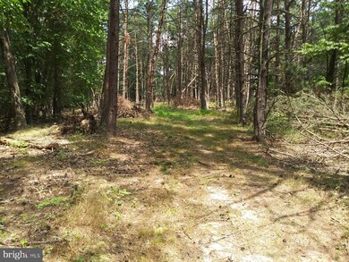 0 Little Cacapon-Levels Rd, Slanesville, WV 25444 - photo 6