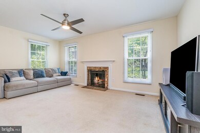 4613 Briar Patch Ct, Fairfax, VA 22032 - photo 7