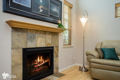 Living Area Fireplace