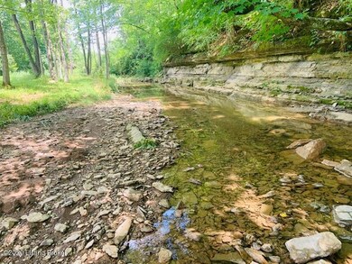 Razor Ridge Creek at back of lot