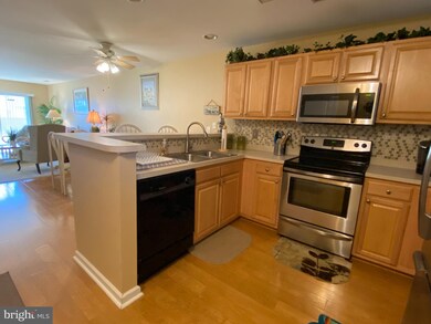 36501 Palm Dr unit 1102, Rehoboth Beach, DE 19971 - photo 5