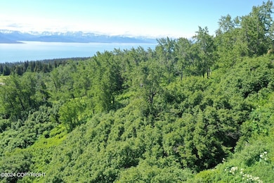 35887 Cloverdale Cir, Fritz Creek, AK 99603 - photo 3