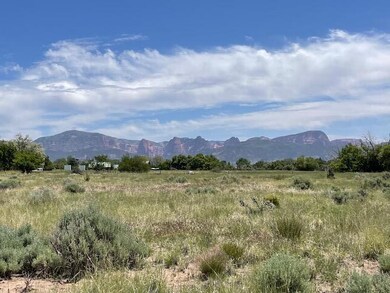 IMG_4481