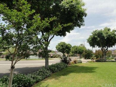 Wonderful, treelined street