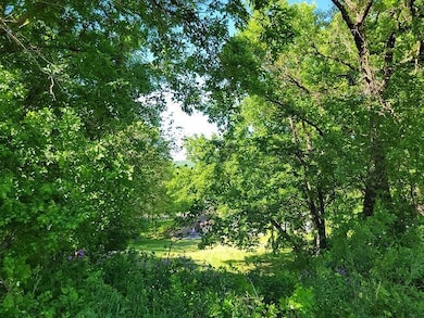 XXX W Church St, Belle Plaine, MN 56011 - photo 4