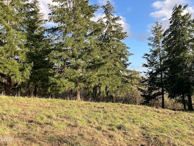 1200 NE Center St unit Par 1, Sheridan, OR 97378 - photo 4