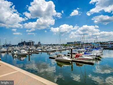 Harborview Towers unit PH1B, Baltimore, MD 21230 - photo 6